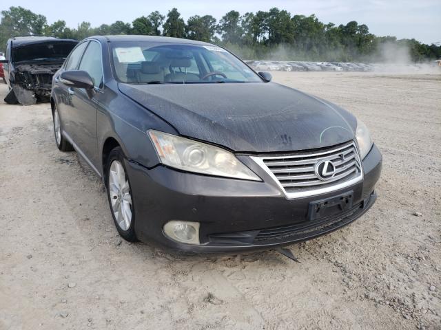 LEXUS ES 350 2010 jthbk1eg7a2355931