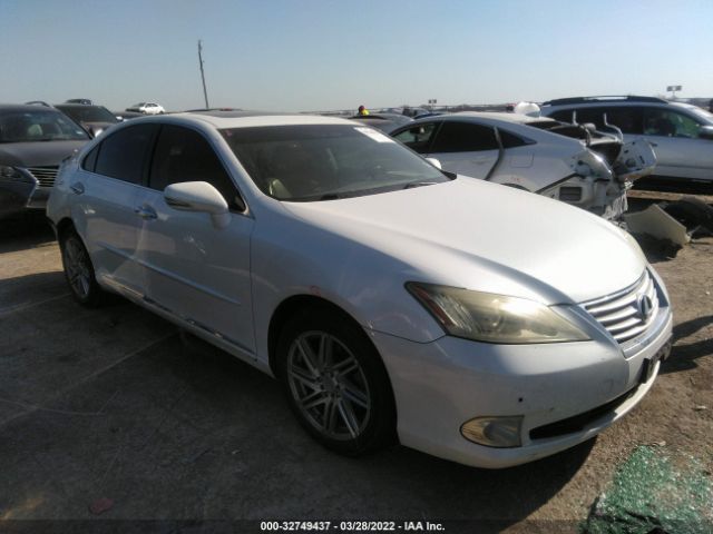 LEXUS ES 350 2010 jthbk1eg7a2356254