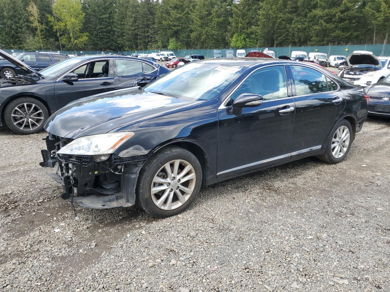 LEXUS ES 2010 jthbk1eg7a2361003