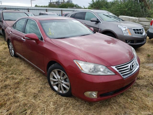 LEXUS ES 350 2010 jthbk1eg7a2361101