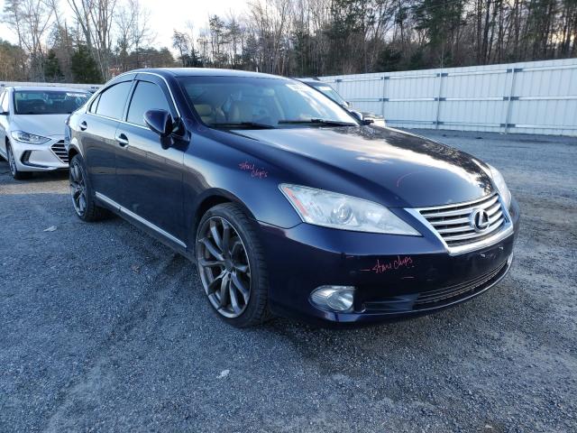 LEXUS ES 350 2010 jthbk1eg7a2362944