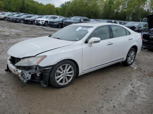 LEXUS ES350 2010 jthbk1eg7a2365326