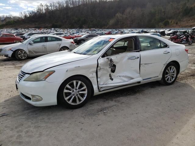 LEXUS ES 350 2010 jthbk1eg7a2366735