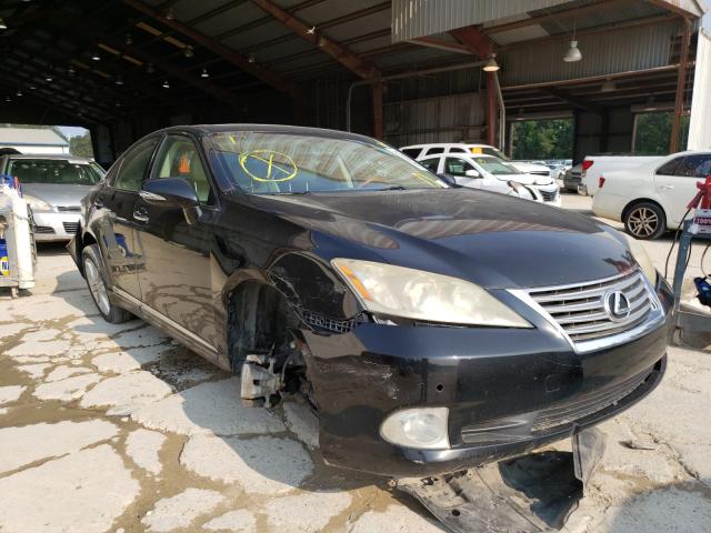 LEXUS ES 350 2010 jthbk1eg7a2369439