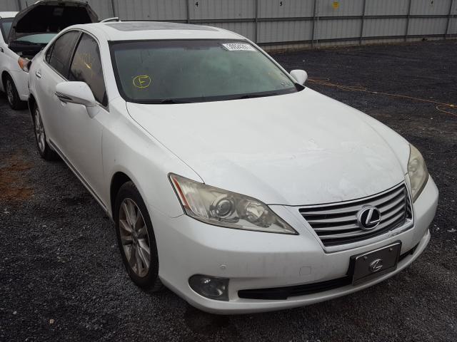 LEXUS ES 350 2010 jthbk1eg7a2374754