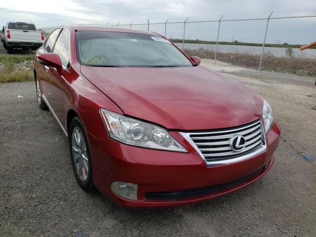 LEXUS ES 350 2010 jthbk1eg7a2378383