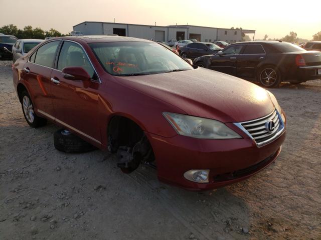 LEXUS ES 350 2010 jthbk1eg7a2382322