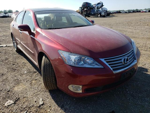 LEXUS ES 350 2010 jthbk1eg7a2383857