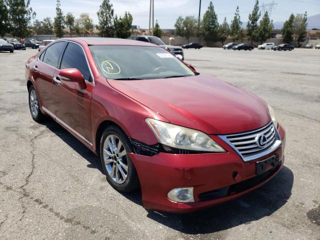 LEXUS ES 350 2010 jthbk1eg7a2384054