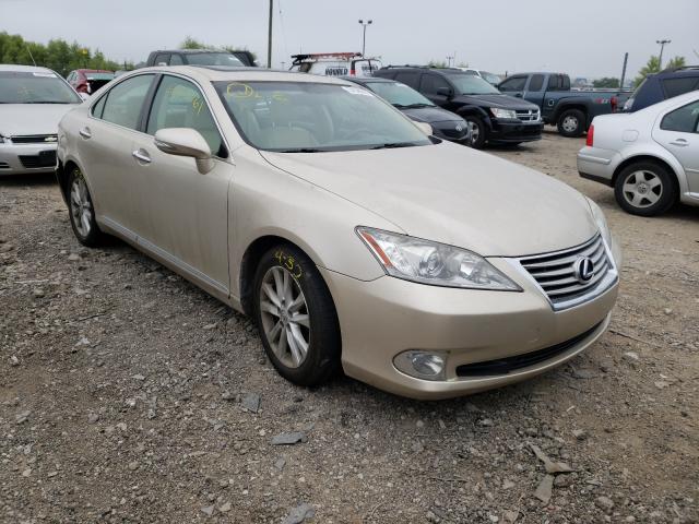 LEXUS ES 350 2010 jthbk1eg7a2384099