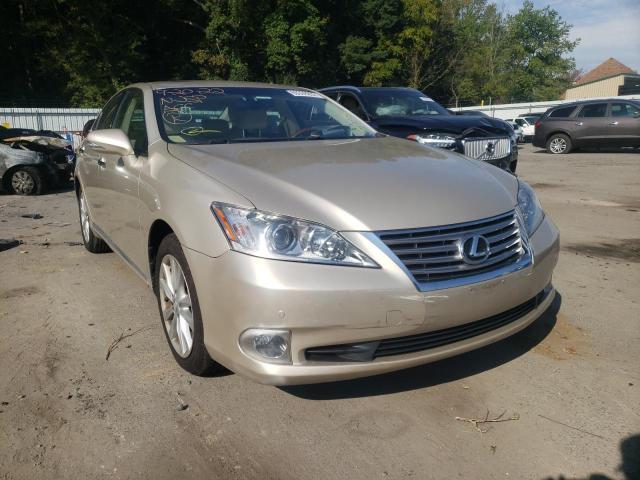 LEXUS ES 350 2010 jthbk1eg7a2384507