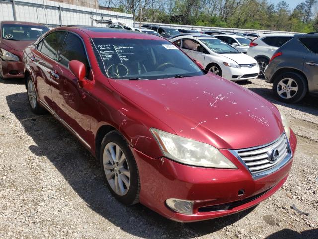 LEXUS ES 350 2010 jthbk1eg7a2384961