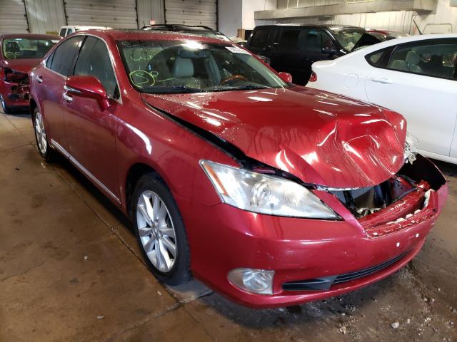 LEXUS ES 350 2010 jthbk1eg7a2387844