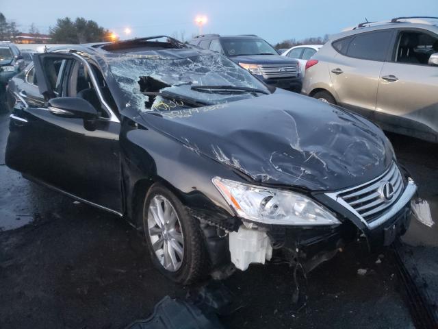 LEXUS ES 350 2010 jthbk1eg7a2388542