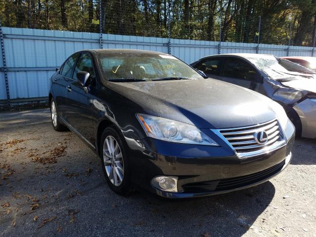 LEXUS ES 350 2010 jthbk1eg7a2392218