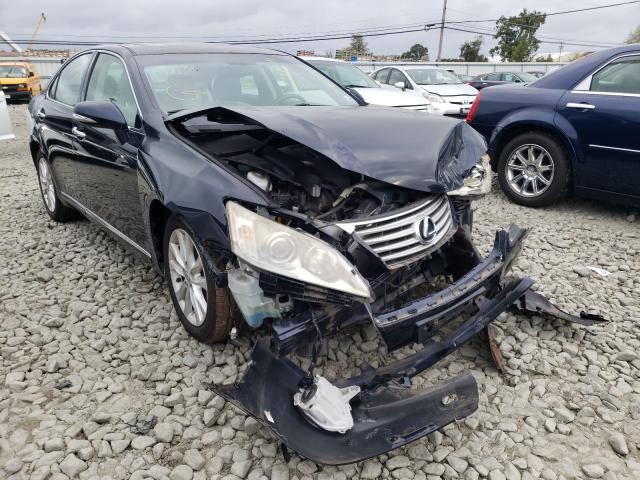 LEXUS ES 350 2010 jthbk1eg7a2393594