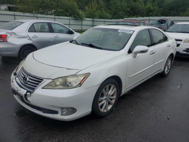 LEXUS ES 350 2010 jthbk1eg7a2393868