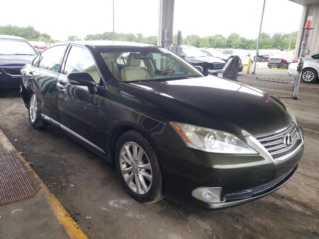 LEXUS ES 350 2010 jthbk1eg7a2395636