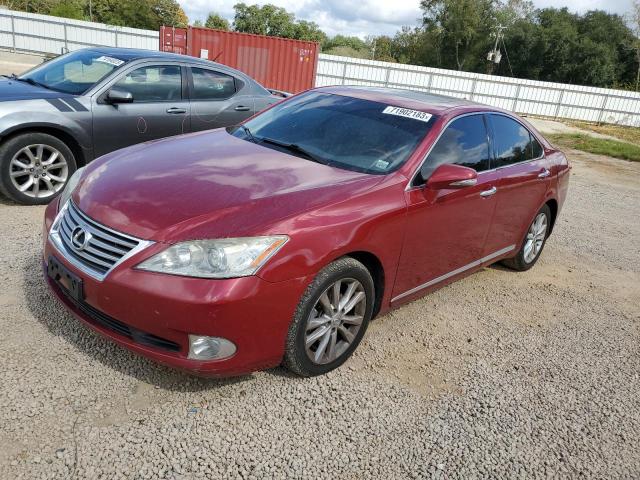 LEXUS ES350 2010 jthbk1eg7a2406117