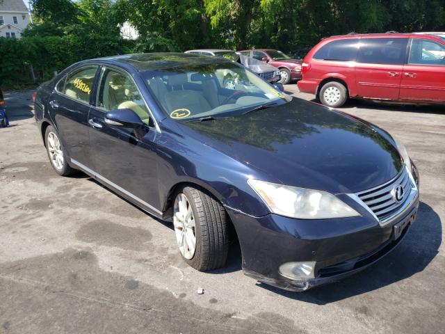 LEXUS ES 350 2010 jthbk1eg7a2406974