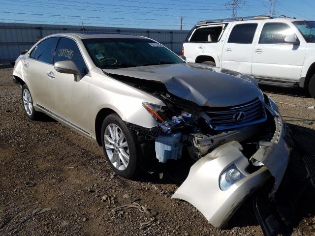 LEXUS ES 350 2010 jthbk1eg7a2409549