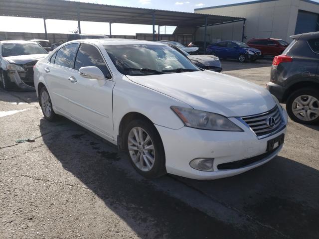 LEXUS ES 350 2010 jthbk1eg7a2411494