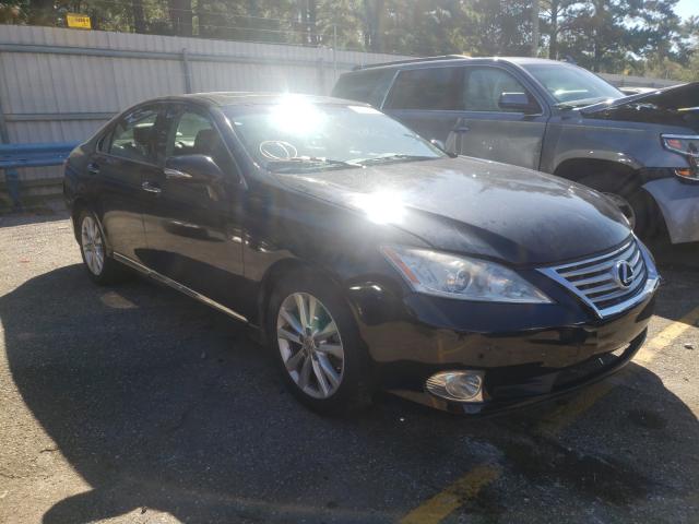 LEXUS ES 350 2010 jthbk1eg7a2413245