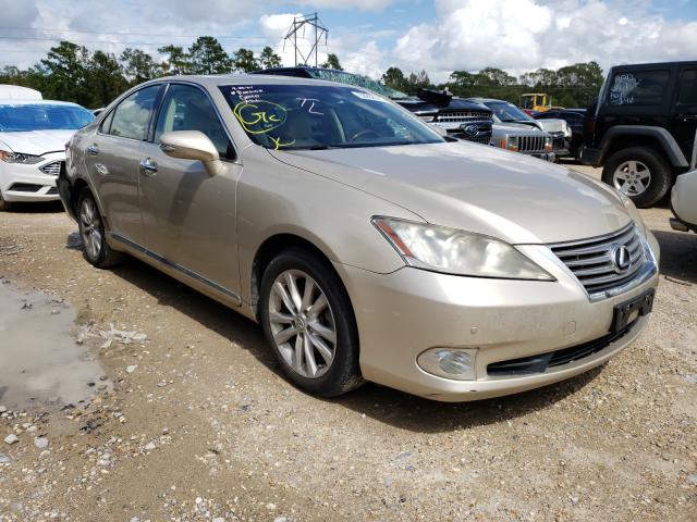 LEXUS ES 350 2012 jthbk1eg7c2489566