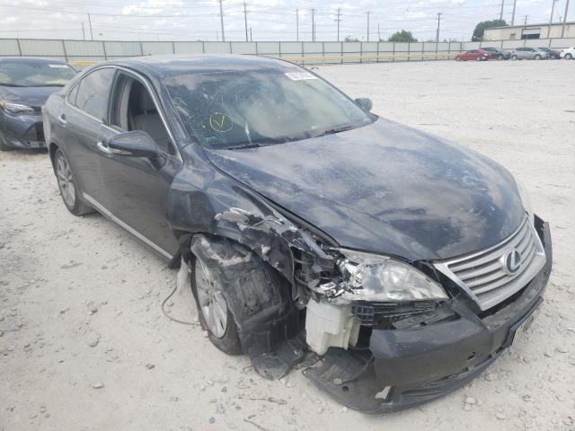 LEXUS ES 350 2010 jthbk1eg8a2342640