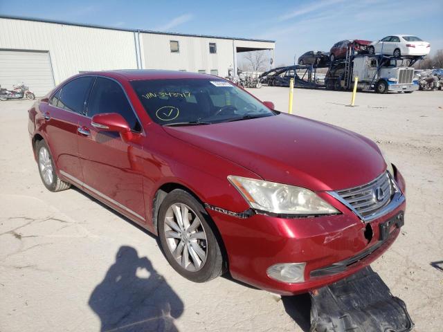 LEXUS ES 350 2010 jthbk1eg8a2343917