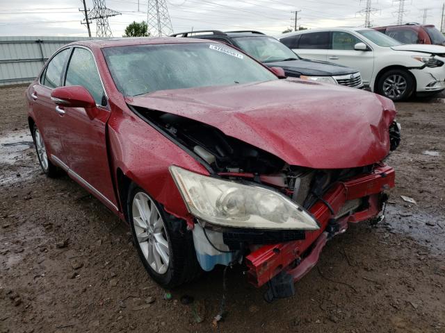 LEXUS ES 350 2010 jthbk1eg8a2344291