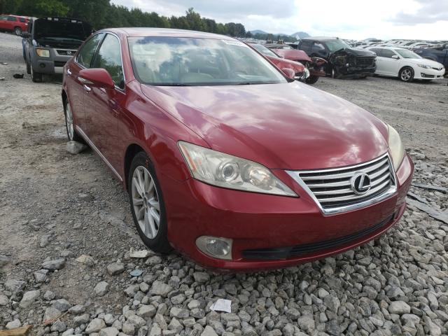 LEXUS ES 350 2010 jthbk1eg8a2345604