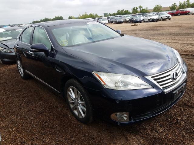 LEXUS ES 350 2010 jthbk1eg8a2345988