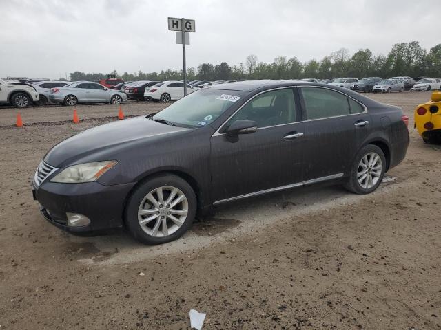 LEXUS ES 350 2010 jthbk1eg8a2346235