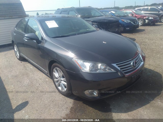 LEXUS ES 350 2010 jthbk1eg8a2347871