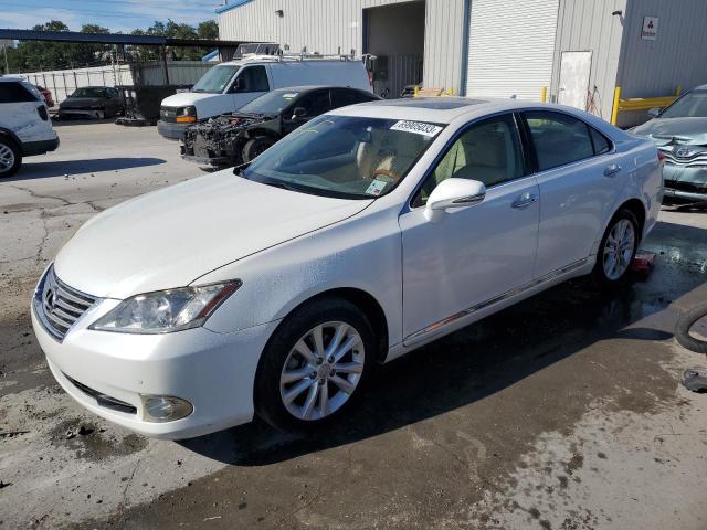 LEXUS ES 350 2010 jthbk1eg8a2351158