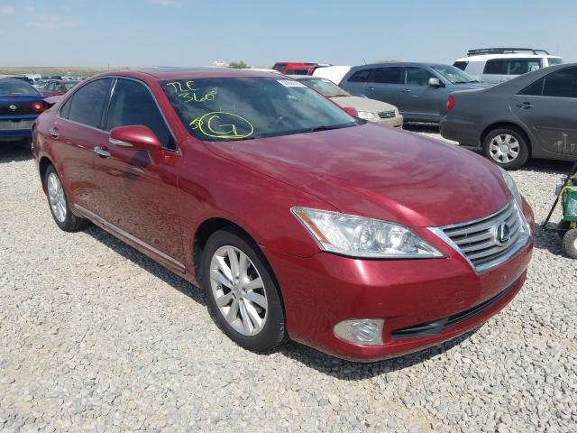 LEXUS ES 350 2010 jthbk1eg8a2353105