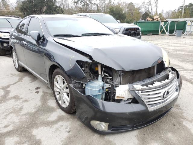 LEXUS ES 350 2010 jthbk1eg8a2355324