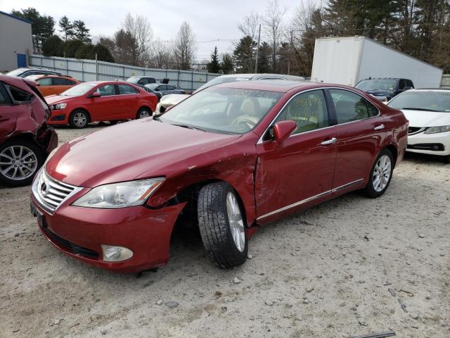 LEXUS ES 350 2010 jthbk1eg8a2355596