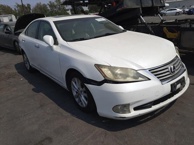 LEXUS ES 350 2010 jthbk1eg8a2356134