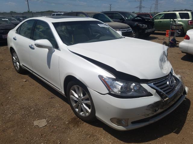 LEXUS ES 350 2010 jthbk1eg8a2358353