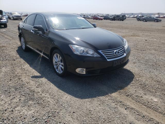 LEXUS ES 350 2010 jthbk1eg8a2361642