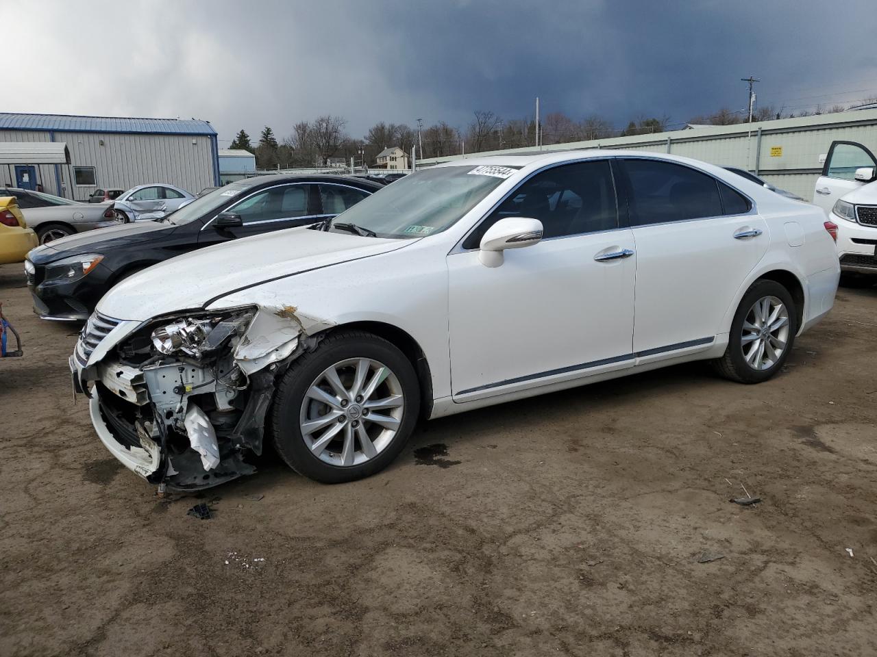 LEXUS ES 2010 jthbk1eg8a2363049