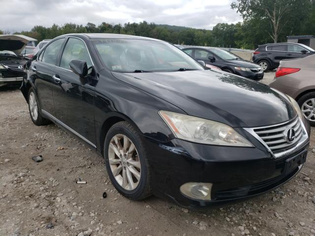 LEXUS ES 350 2010 jthbk1eg8a2365819