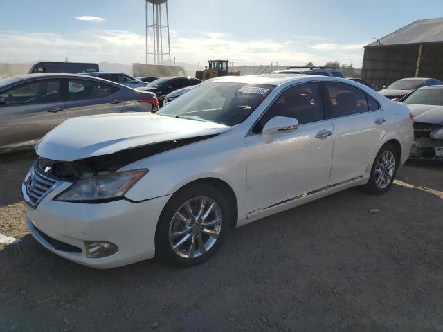 LEXUS ES350 2010 jthbk1eg8a2366310