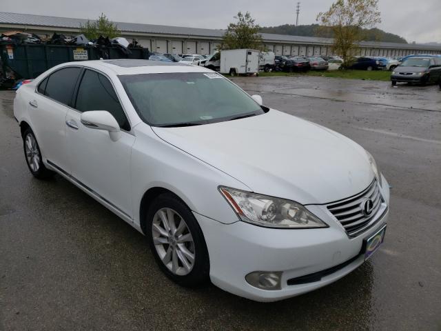 LEXUS ES 350 2010 jthbk1eg8a2369126