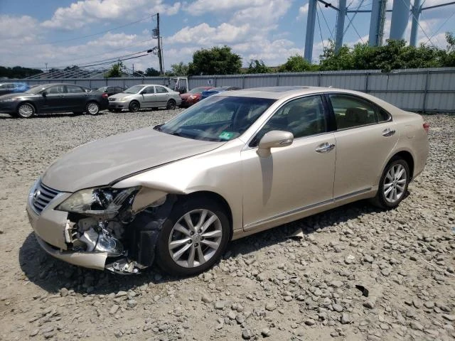 LEXUS ES 350 2010 jthbk1eg8a2370647