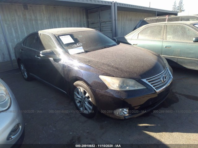 LEXUS ES 350 2010 jthbk1eg8a2371510