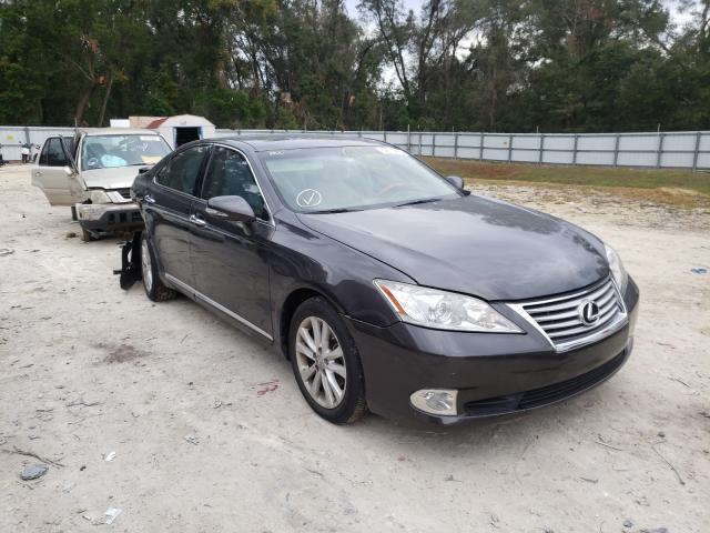 LEXUS ES 350 2010 jthbk1eg8a2373323