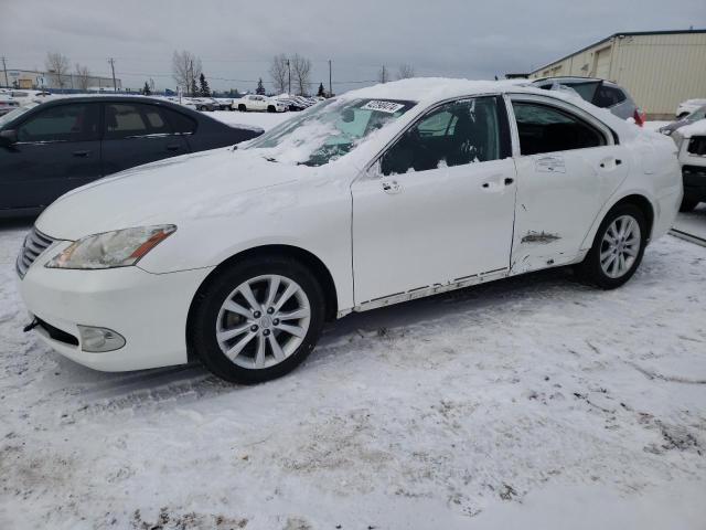 LEXUS ES350 2010 jthbk1eg8a2373404